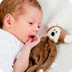 knuffel-219b02-amb-nl-1-57968359