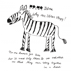 nono-zebra