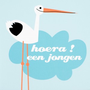 peas-ooievaar-jongen-kaart